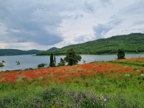 The Montedoglio Lake in Valtiberina Valley 