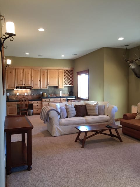 Basement Living area