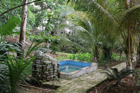 2 outdoor pools, a natural pool, sun loungers