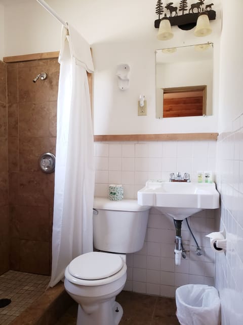 Standard Single Room, 1 Queen Bed | Bathroom | Free toiletries, towels