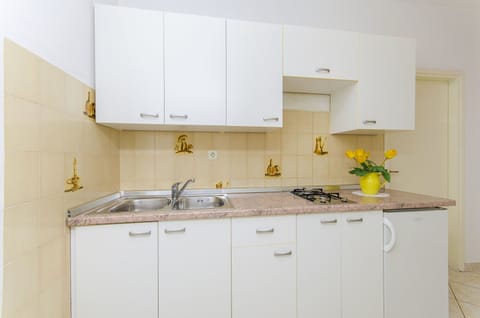 Comfort Apartment, 2 Bedrooms, Terrace | Private kitchen | Fridge, stovetop, cookware/dishes/utensils