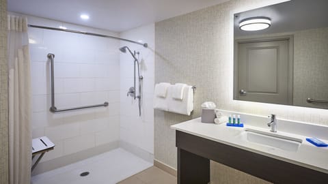 Standard Room, 1 Queen Bed, Accessible (Communications, Roll-In Shower) | Bathroom | Free toiletries, hair dryer, towels