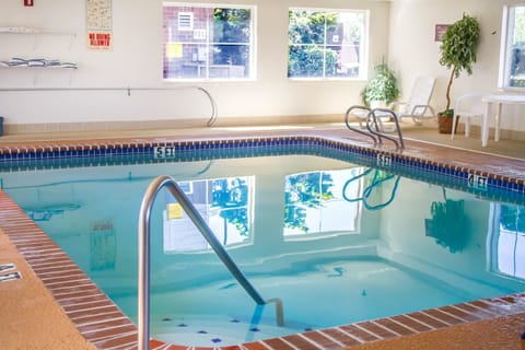 Indoor pool, sun loungers