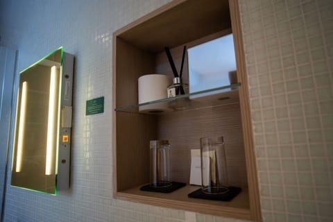 Executive Suite | Bathroom | Shower, rainfall showerhead, free toiletries, hair dryer