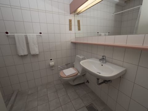 Single Room (XL) | Bathroom | Shower, free toiletries, hair dryer, towels