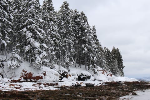 Land view from property