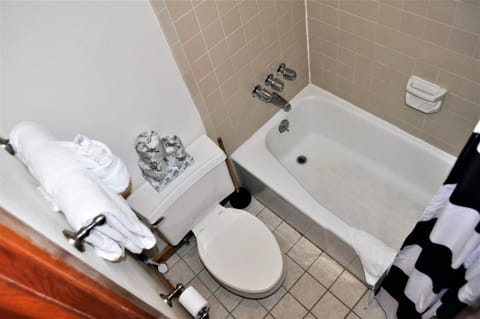 Combined shower/tub, free toiletries, hair dryer, towels