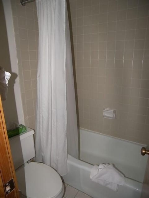 Bathroom | Combined shower/tub, free toiletries, hair dryer, towels