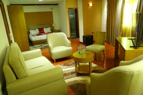 Deluxe Room, 1 King Bed, Accessible, Lake View | Premium bedding, minibar, in-room safe, desk