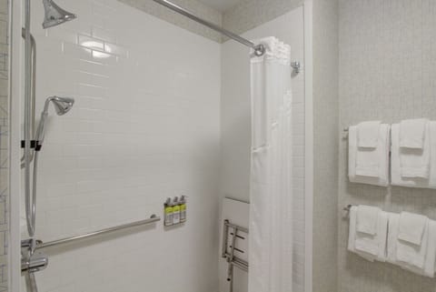 Standard Room, 1 King Bed, Accessible (Communications, Accessible Tub) | Bathroom shower