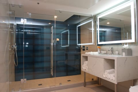 Presidential Room | Bathroom | Shower, hydromassage showerhead, hair dryer, towels