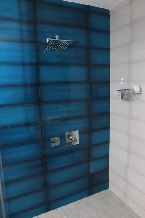 Shower, hydromassage showerhead, hair dryer, towels