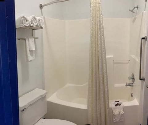 Deluxe Suite, Non Smoking | Bathroom | Shower, free toiletries, hair dryer, towels