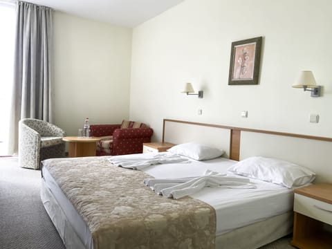 Standard Double Room, Balcony, Park View | Hypo-allergenic bedding, free minibar items, desk