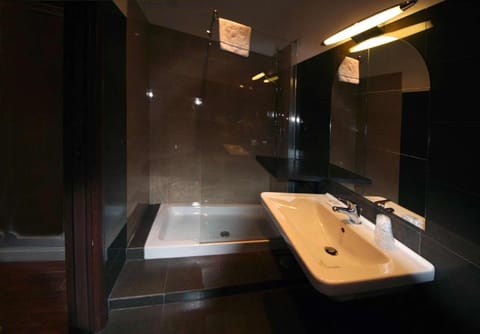 Shower, free toiletries, hair dryer, bidet