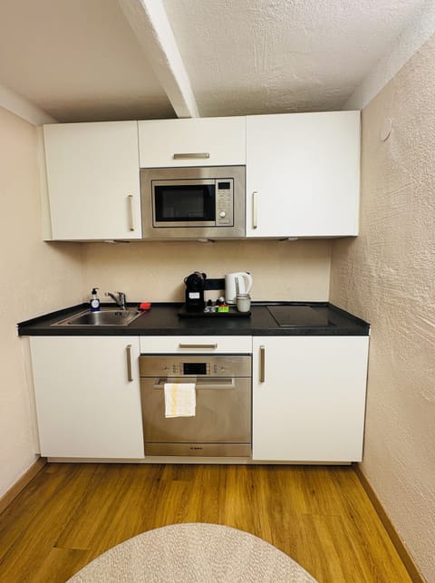 Superior Studio, 1 King Bed with Sofa bed, Non Smoking, City View | Private kitchen | Fridge, stovetop, coffee/tea maker, electric kettle