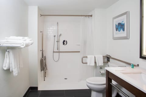 Room, 1 King Bed with Sofa bed, Non Smoking | Bathroom | Combined shower/tub, eco-friendly toiletries, hair dryer, towels