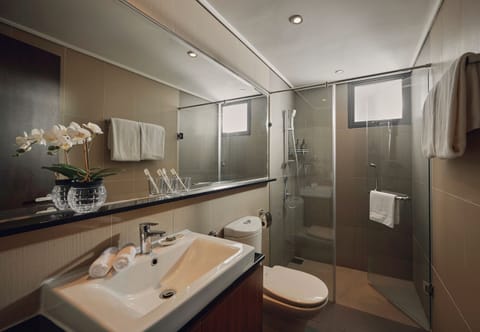Premier Apartment, 1 Bedroom, Kitchen, City View | Bathroom | Shower, free toiletries, hair dryer, slippers