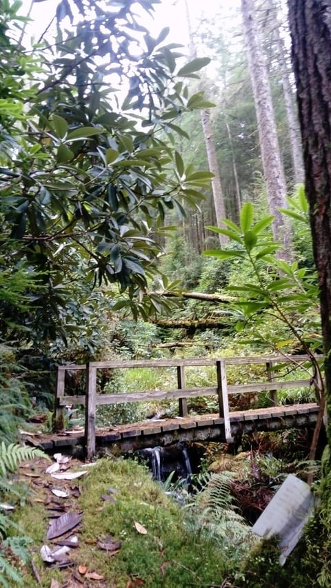 Bridges and waterfalls in garden, lots of wild life and exploring
