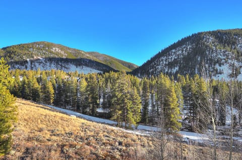 A scenic view of a forested valley with snow-covered areas and a clear blue sky, flanked by green pine-covered mountains.
