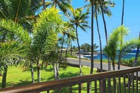 Lanai View