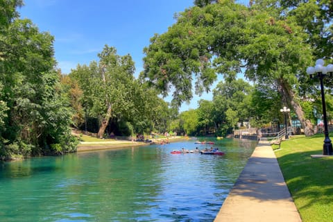 Gorgeous Comal River!