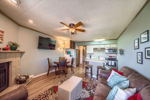 Living Room with sofa sleeper.