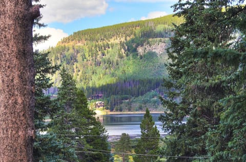 Scenic landscape with a lake surrounded by dense evergreen trees; a house is visible on the distant shoreline beneath a forested hill.