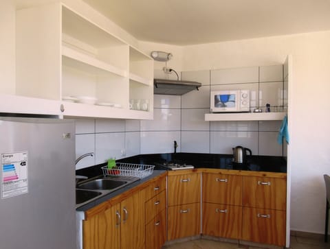 Standard Apartment, 1 King Bed | Private kitchenette | Fridge, microwave, stovetop, electric kettle