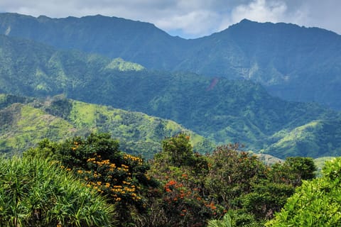 North Shore landscape ... Credit: HTA / Tor Johnson