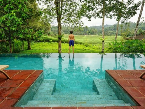 Outdoor pool, sun loungers