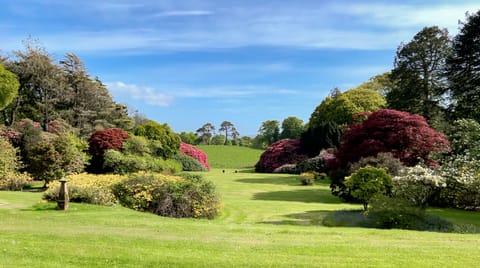View over gardens from Garden Cottage