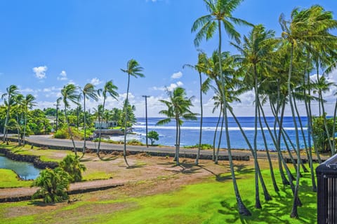 Lanai view