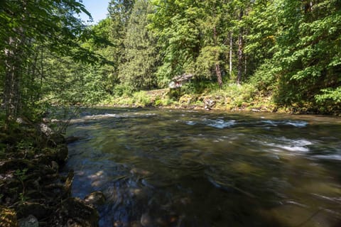 Salmon River Getaway - River access from Salmon River Getaway.