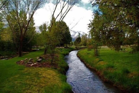 Backyard with Creek Running Through