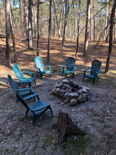 Fire pit, bring your own firewood and matches!
