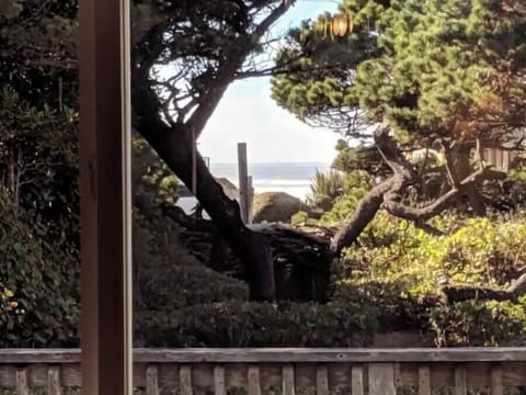 peek of a view from the dining room table