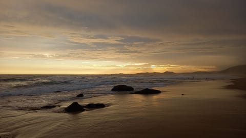 Beach nearby, rowing, fishing