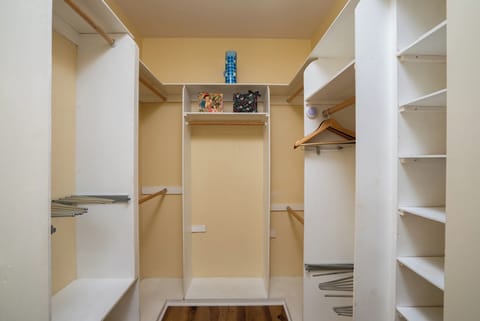 Master Bedroom Walk In Closet