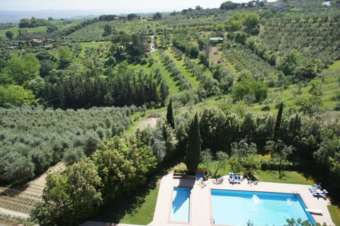 Garden, Pool, Scenic View