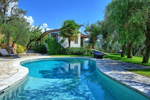 Pool, Summer