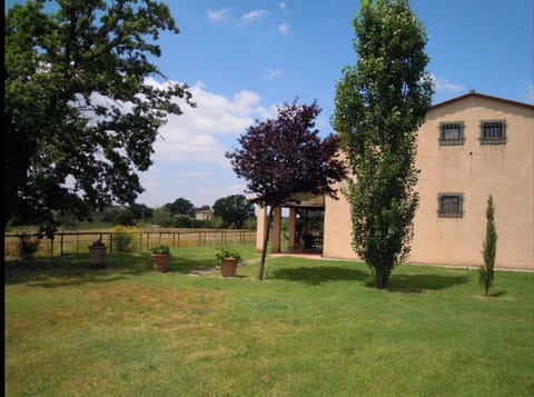 Property, House, Home, Tree, Land Lot, Real Estate, Estate, Grass, Yard, Building