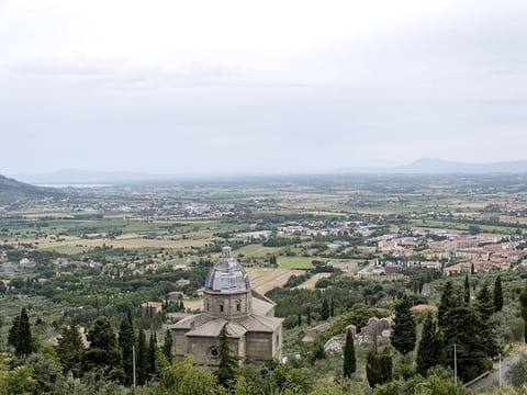 Panoramic view