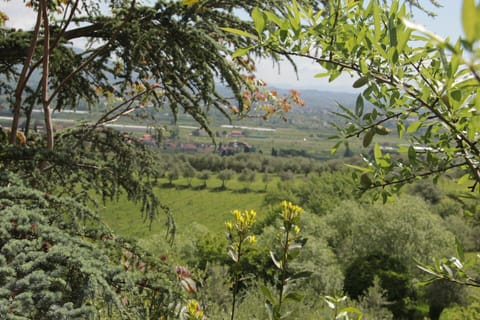 Outdoor, Scenic View