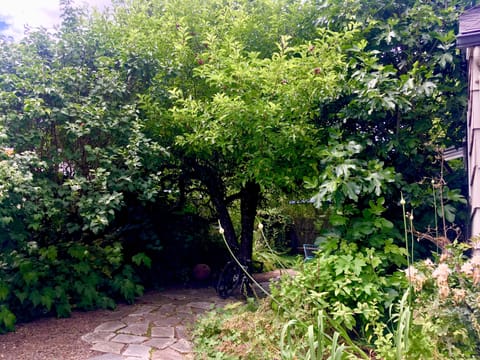 Enjoy the beautiful setting, pick apples and figs from the trees when in season.