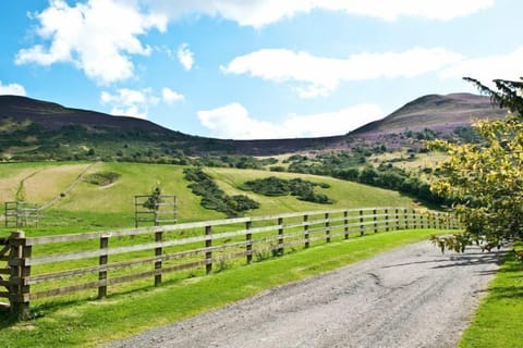 Private road up to the cottage