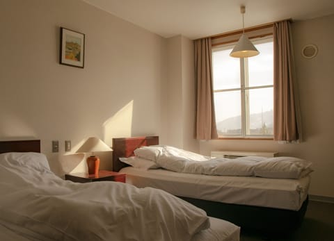 Classic Twin Room, 2 Twin Beds, Mountain View | In-room safe, free WiFi, bed sheets