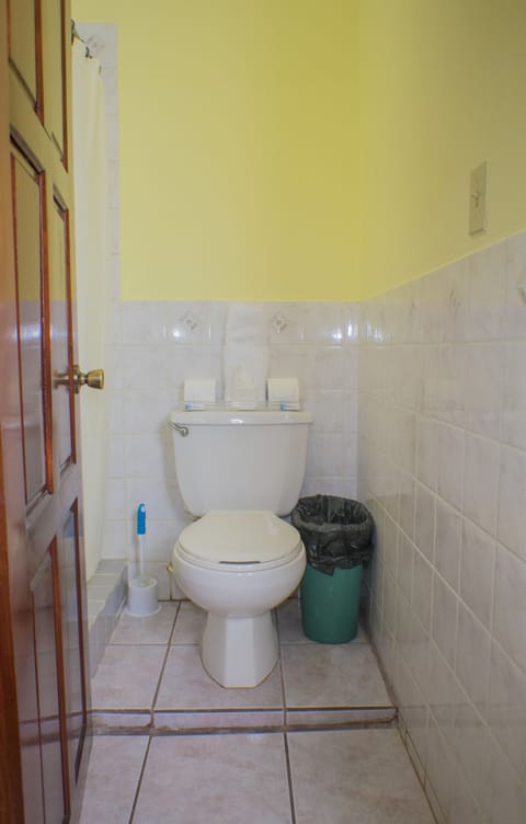 Deluxe Double Room, Non Smoking | Bathroom | Shower, towels, soap, toilet paper