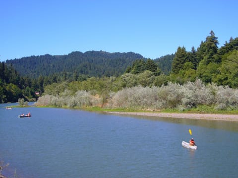 The Enchanted Forest on the Russian River!