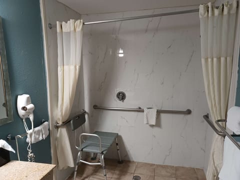 Combined shower/tub, free toiletries, hair dryer, towels